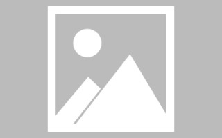 武安url网页设计（网页的url由哪三个部分构成?）